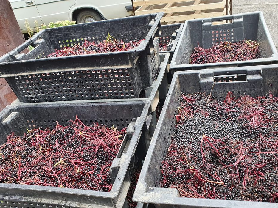 OUT OF STOCK UNTIL NOV: USDA Certified Organic Dried Elderberries Bulk - 20lbs Bag (Sambucus Nigra - Black Elderberry)