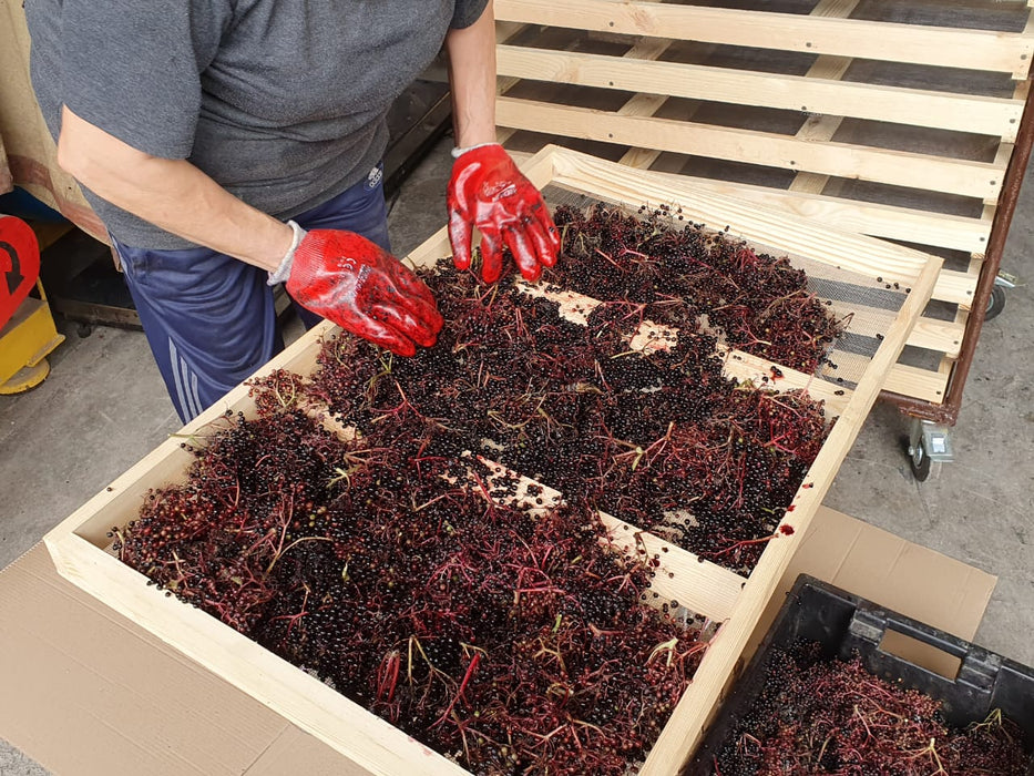 OUT OF STOCK UNTIL NOV: USDA Certified Organic Dried Elderberries Bulk - 20lbs Bag (Sambucus Nigra - Black Elderberry)