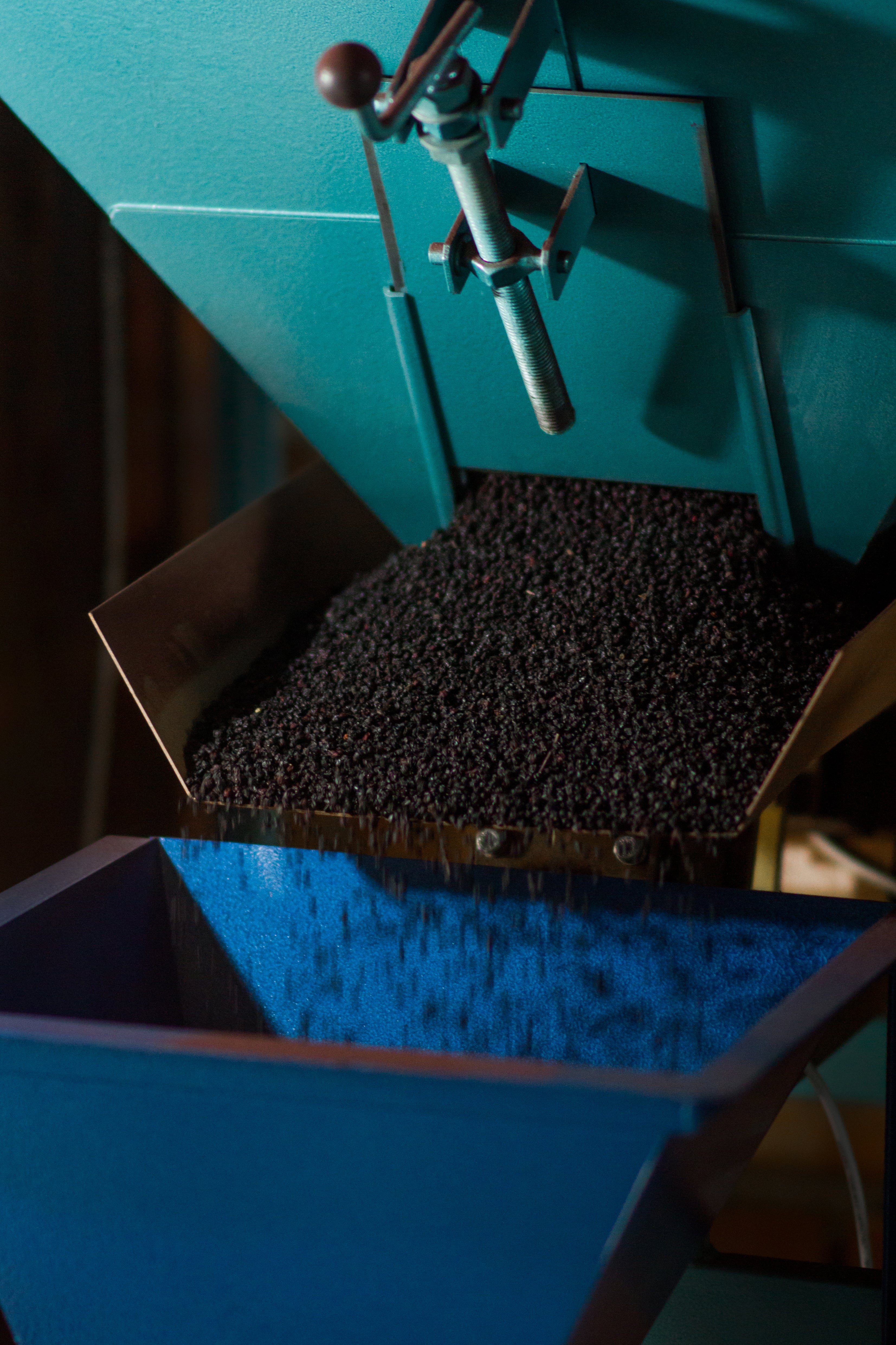 USDA-Certified Organic Dried Elderberries for Wholesale Production