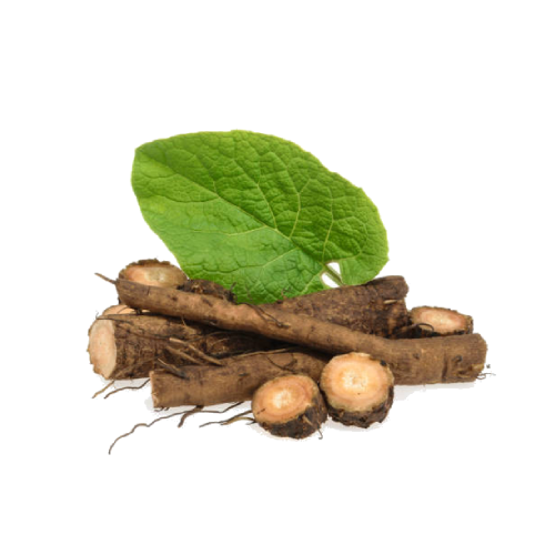 Burdock root