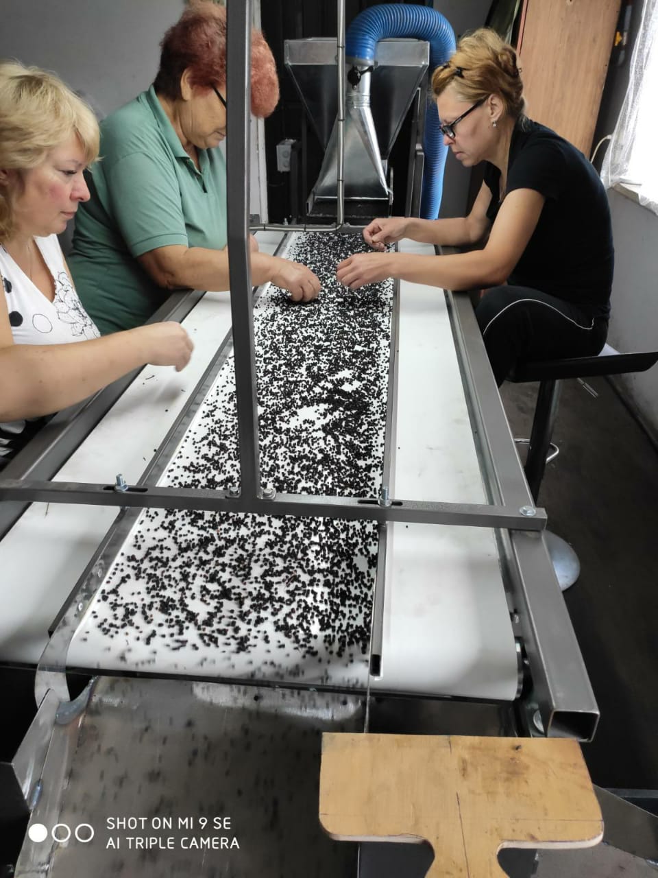 USDA-Certified Organic Dried Elderberries for Wholesale Production